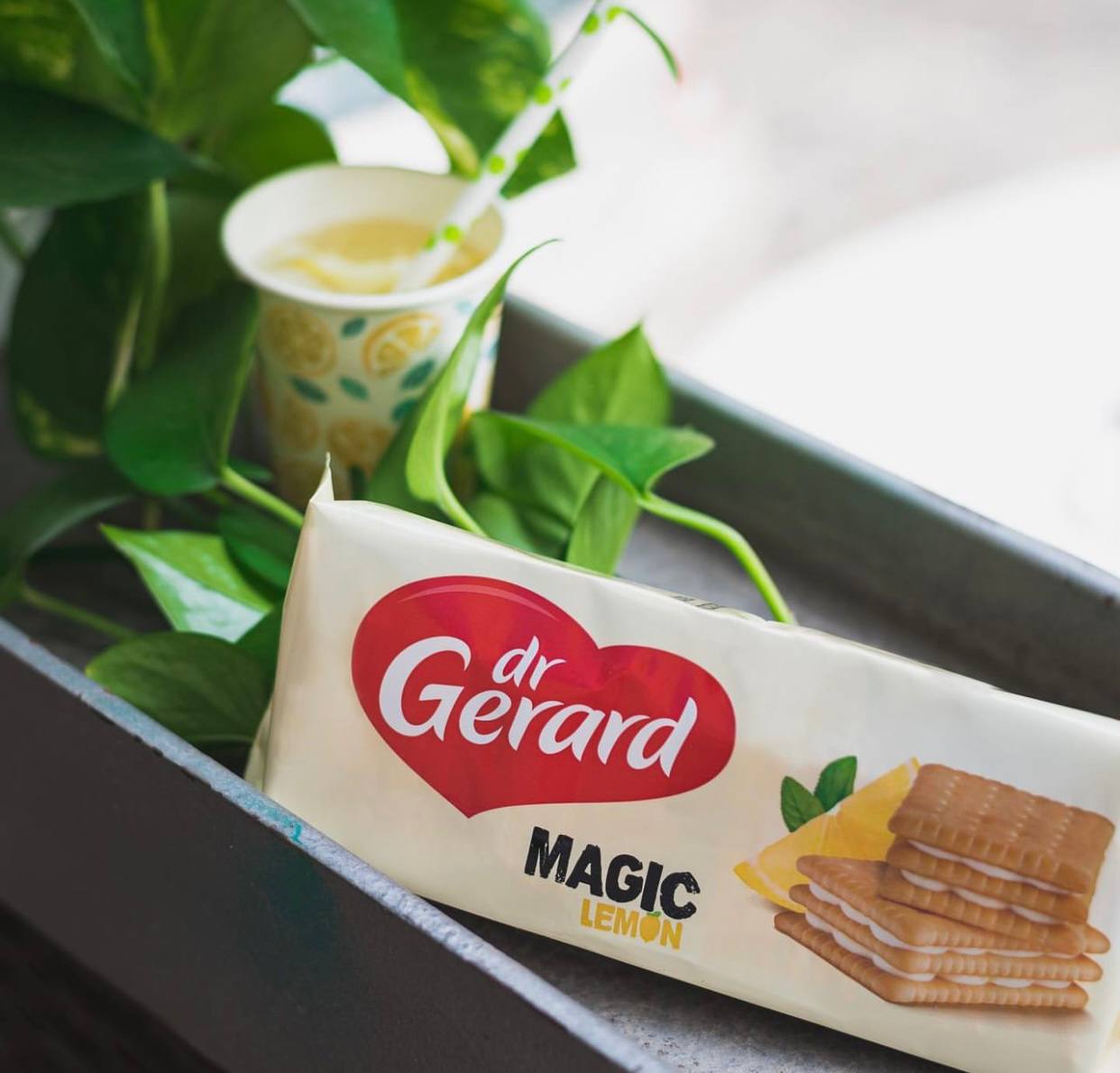 photo_2023-12-27 12.26.14